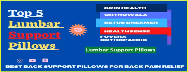 Top 5 Lumbar Support Pillow For Back Support In India | अब Back Pain से पाए छुटकारा तुरंत मिलेगा आराम. 1 Top-5-Lumbar-Support-Pillow-In-Indias-Best-Lumbar-Support-Pillows
